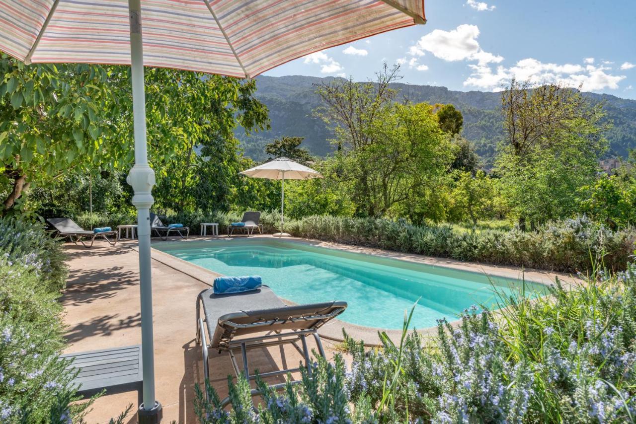 House Close To The Center, Large Flat Orchard And Pool.
