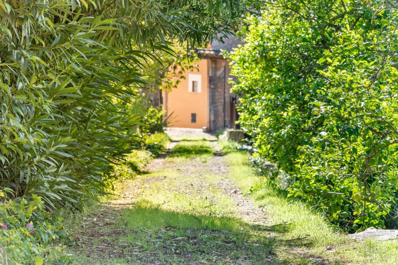 House Close To The Center, Large Flat Orchard And Pool. Soller
